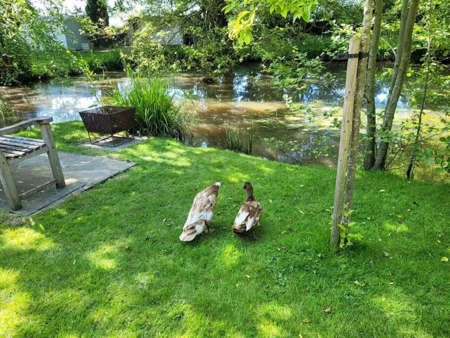 Weaver'S Cottage Smarden Bagian luar foto